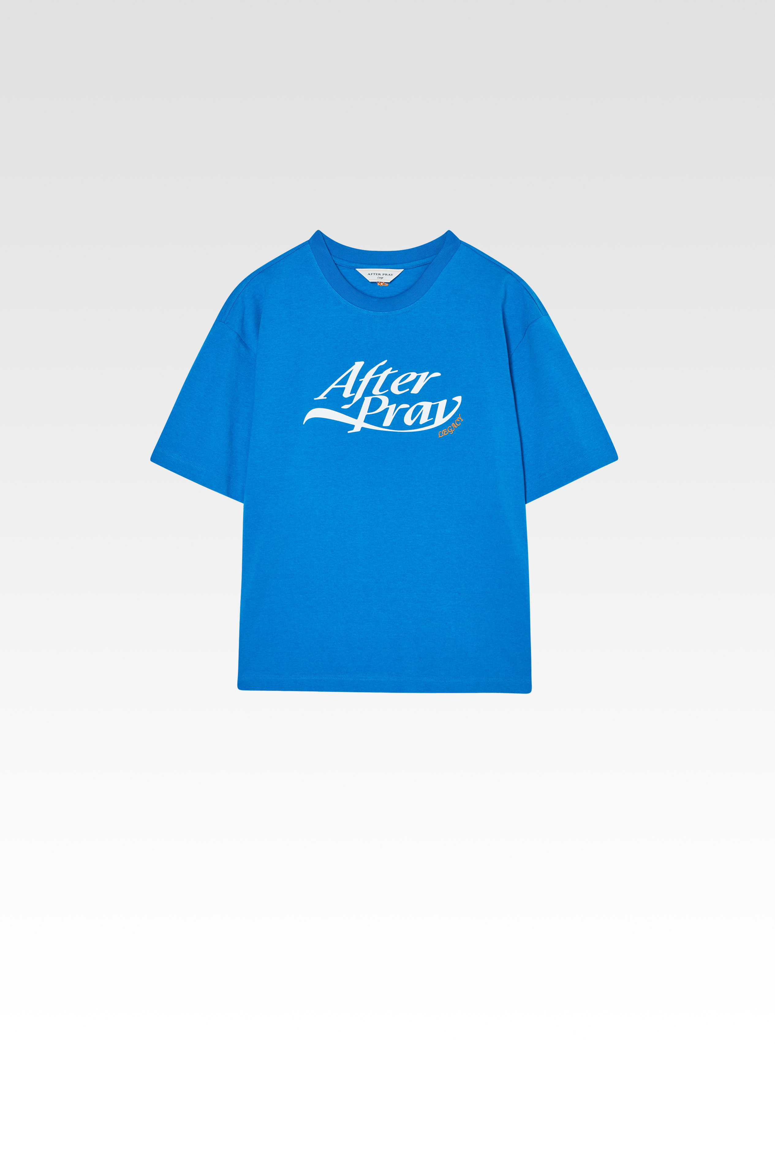 에센셜 로고 레가시 프린티드 티셔츠 (블루)